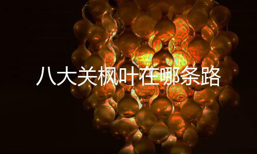 完的么保子怎吃不车厘存
